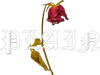 PLAIN OPERATIONS logo